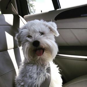 Meet your Posher, Ashlyn